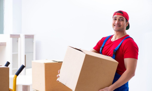 Domestic Relocation Service